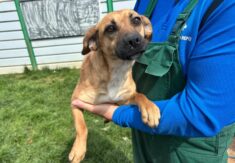 KAJA išče nov dom